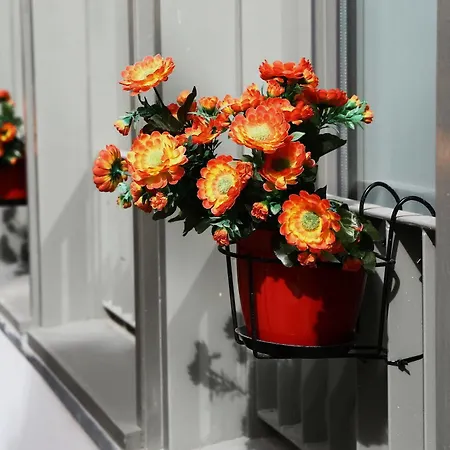 House Petit Lusa Gasthuis