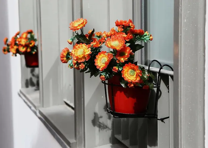 House Petit Lusa Pensjonat